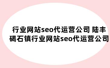 行业网站seo代运营公司 陆丰碣石镇行业网站seo代运营公司有哪些